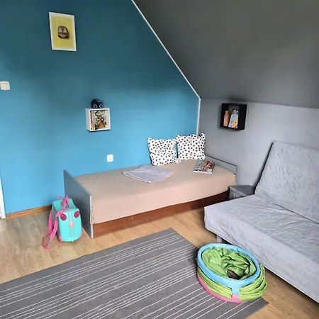 Rodzinny Dom W Roznowie Duzy Ogrod I Zabawki *