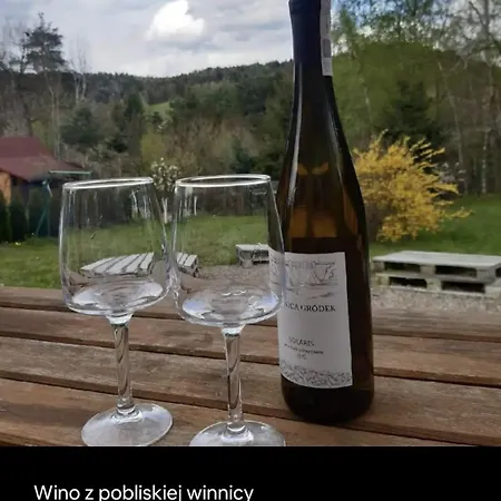 Rodzinny Dom W Roznowie Duzy Ogrod I Zabawki Feriehus *