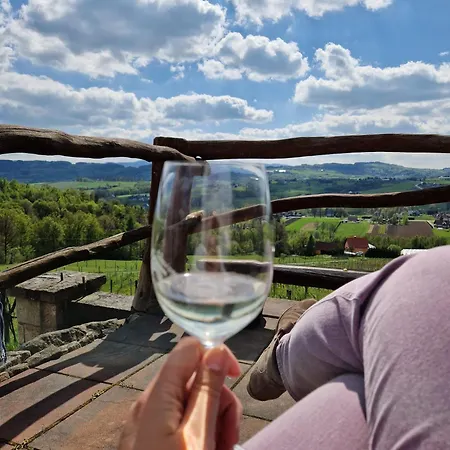 Rodzinny Dom W Roznowie Duzy Ogrod I Zabawki * Roznow