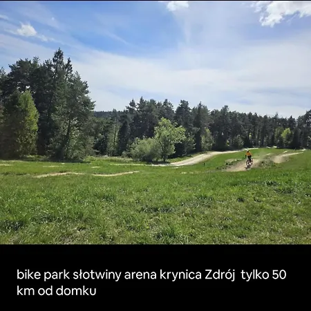 Rodzinny Dom W Roznowie Duzy Ogrod I Zabawki *