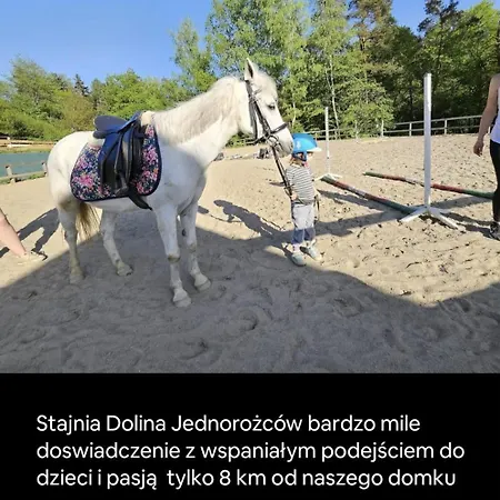 Rodzinny Dom W Roznowie Duzy Ogrod I Zabawki Feriehus