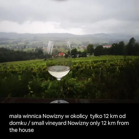Feriehus Rodzinny Dom W Roznowie Duzy Ogrod I Zabawki