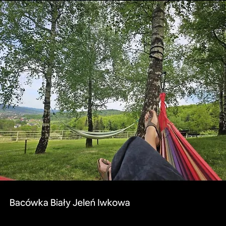 Rodzinny Dom W Roznowie Duzy Ogrod I Zabawki *
