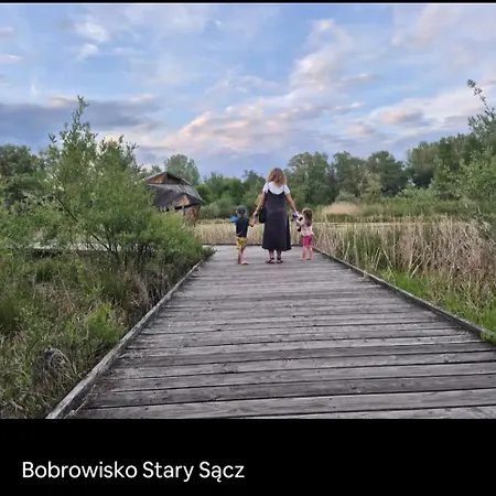 Feriehus Rodzinny Dom W Roznowie Duzy Ogrod I Zabawki