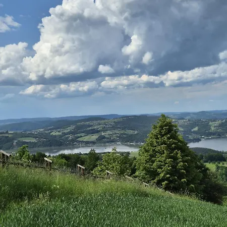 Rodzinny Dom W Roznowie Duzy Ogrod I Zabawki *