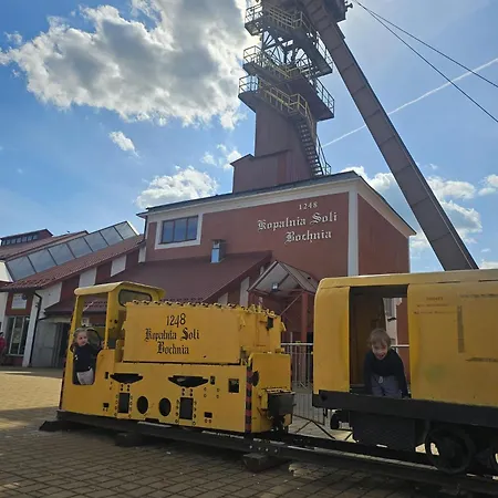 Rodzinny Dom W Roznowie Duzy Ogrod I Zabawki