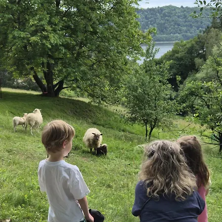 Rodzinny Dom W Roznowie Duzy Ogrod I Zabawki